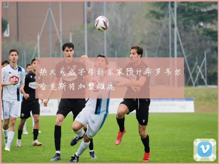热火或成字母新东家预计希罗韦尔哈克斯将加盟雄鹿